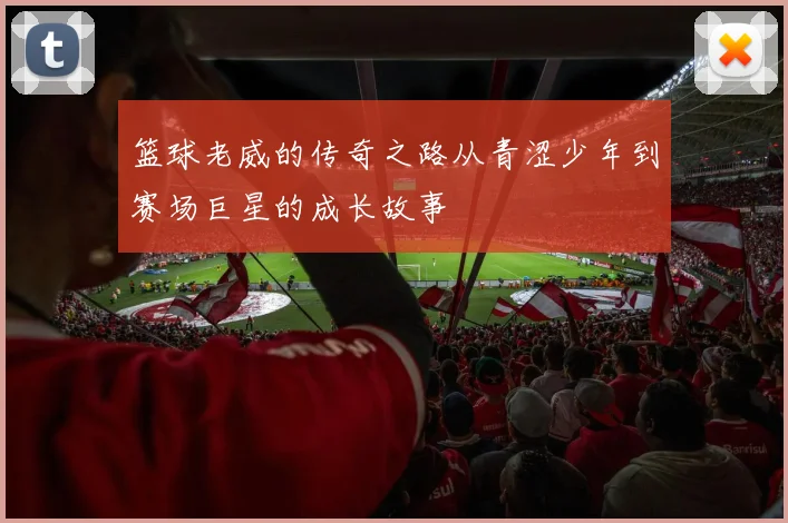 篮球老威的传奇之路从青涩少年到赛场巨星的成长故事